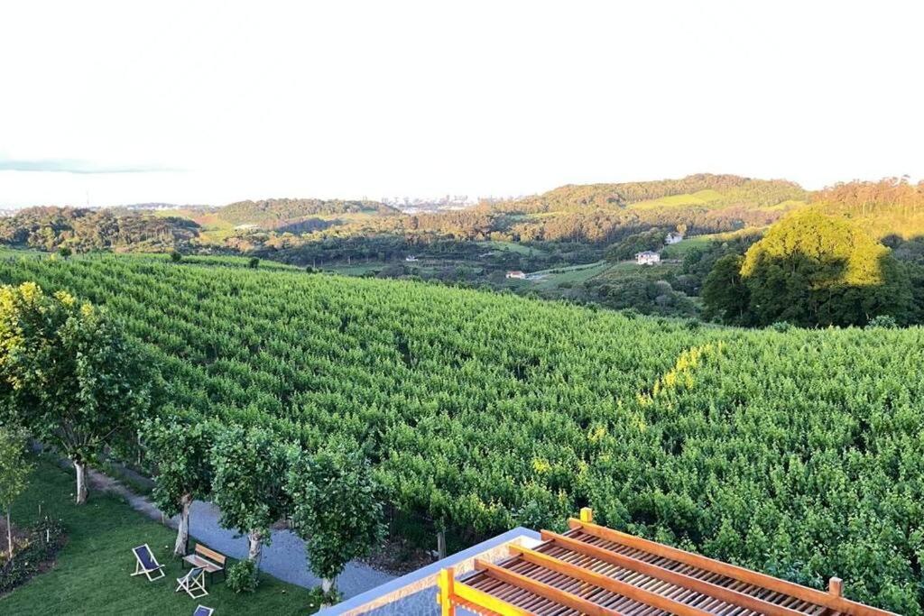 Casa Cielo Vale dos Vinhedos: apto premium com banheira e vista