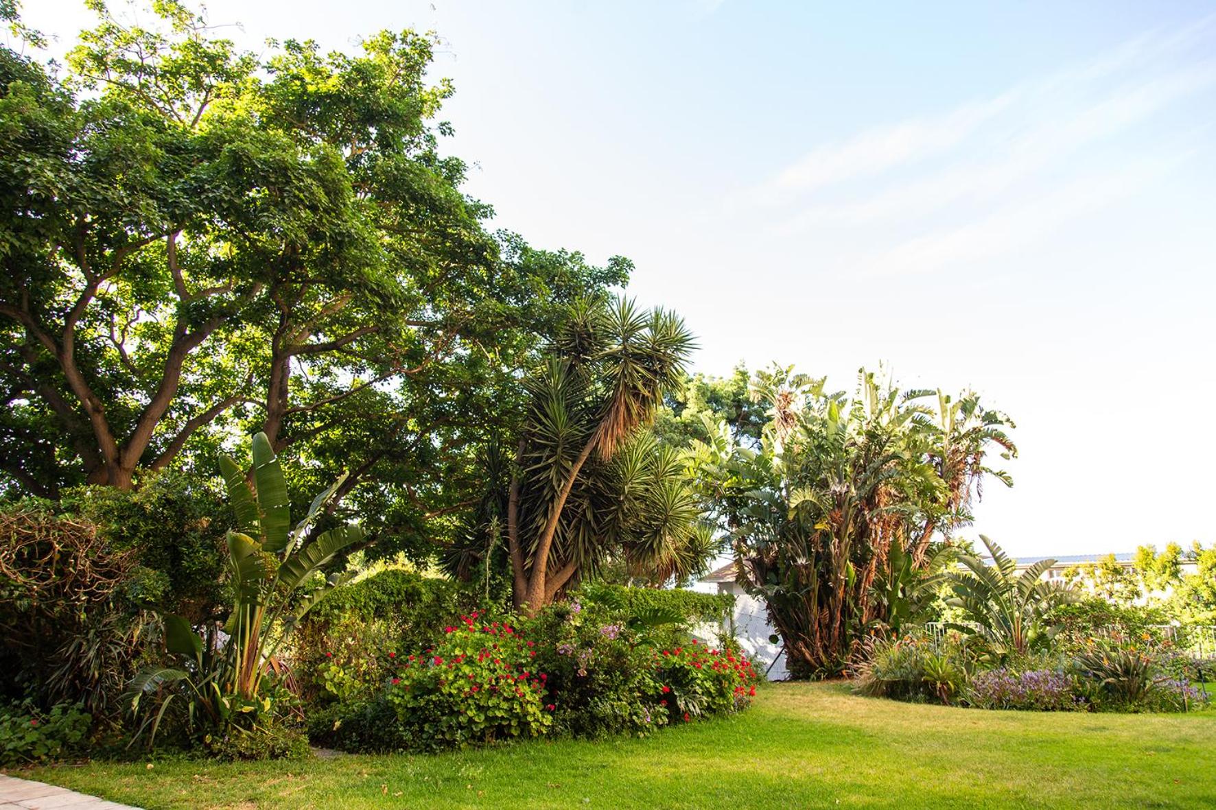 Family Studio - Walk to Waterfront & Stadium - Pool & Parking