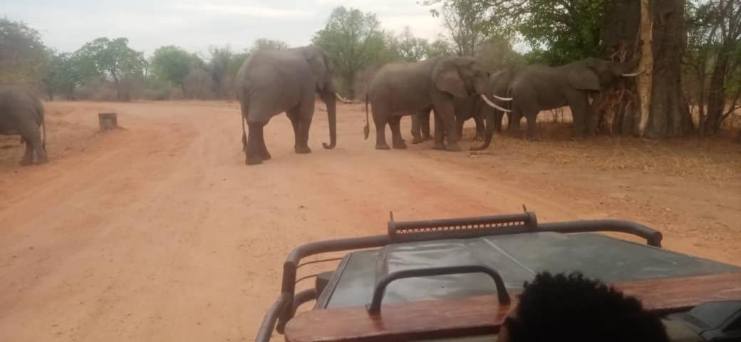 Royal South Luangwa Safaris Lodge view 4