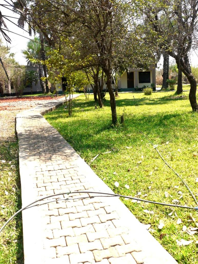 Photo 41
