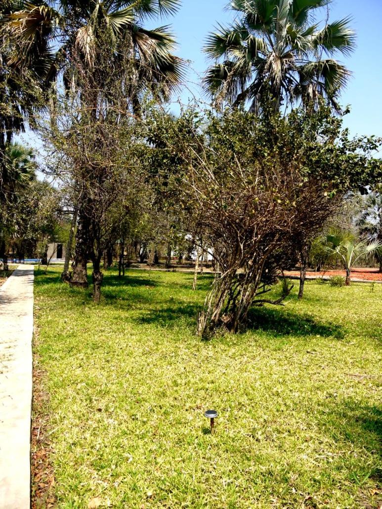 Photo 43