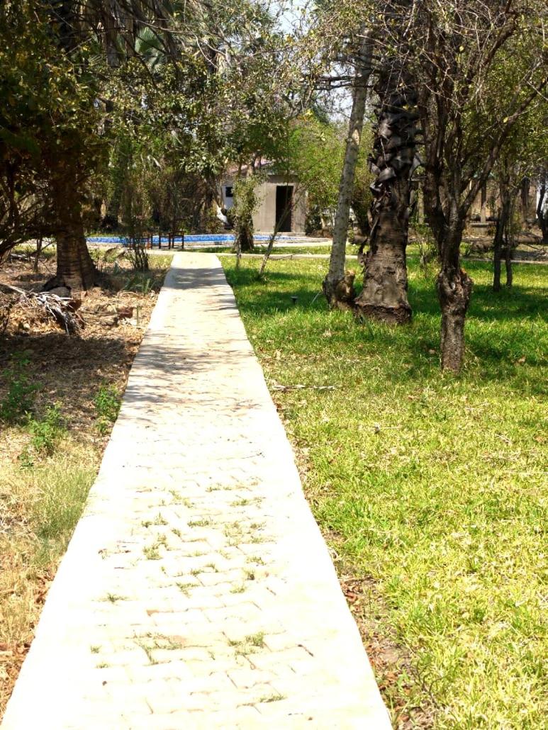 Photo 44
