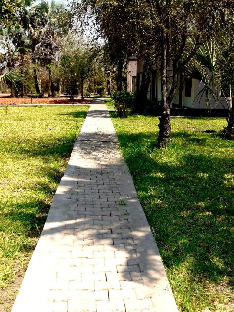 Photo 47