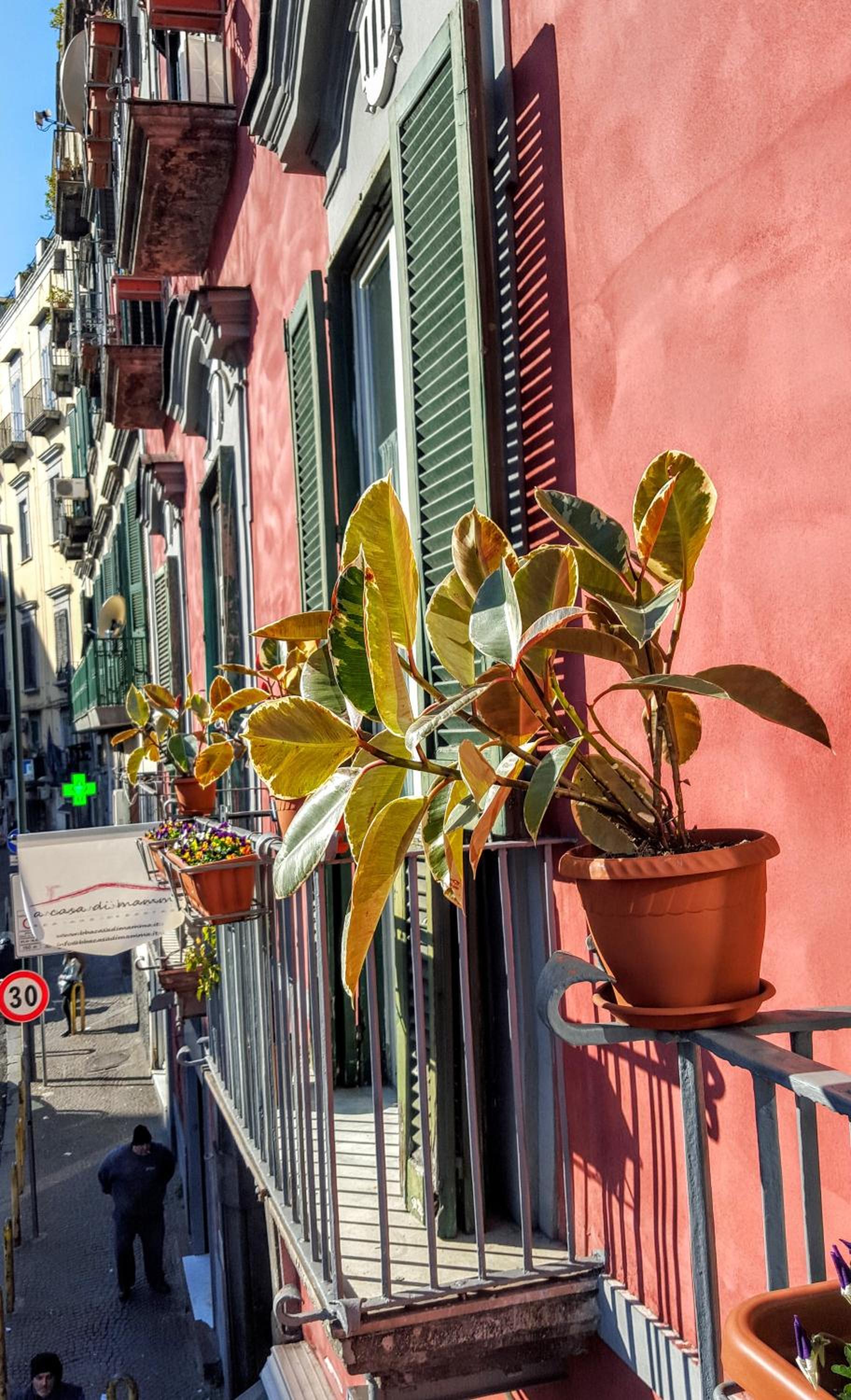 A Casa di Mamma