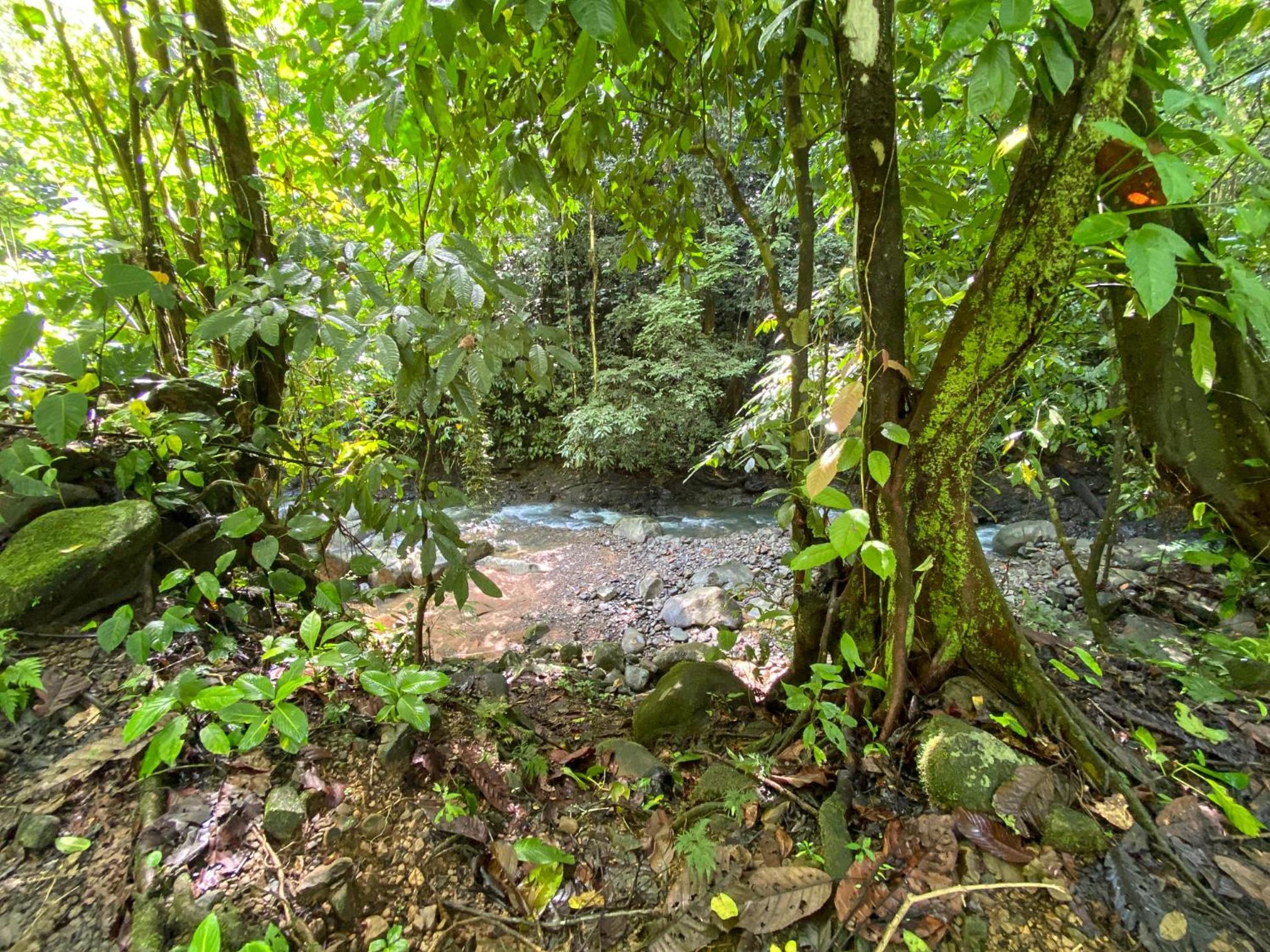House 15 min from the beach with river access