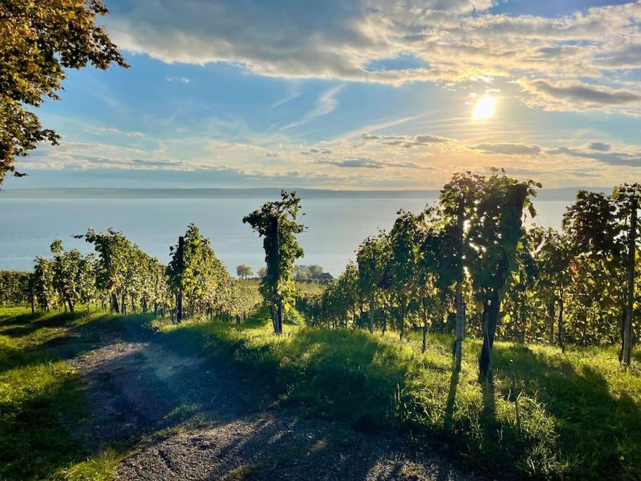 Apartment Chardonnay in Seenähe