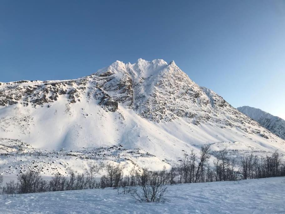 Big cabin in Lyngen Fjords