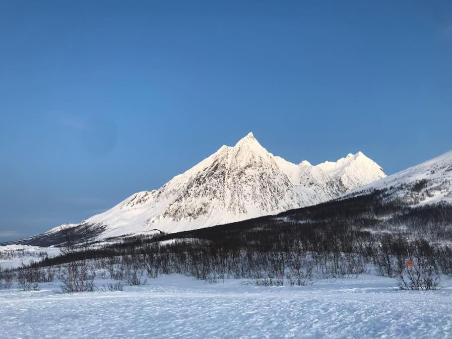 Big cabin in Lyngen Fjords