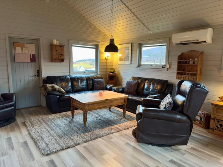 Big cabin in Lyngen Fjords