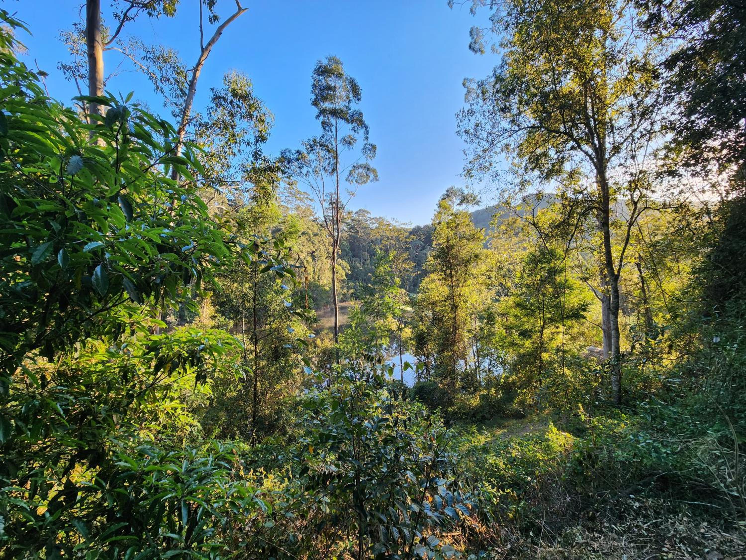 ZEN House Tiny house by the lake