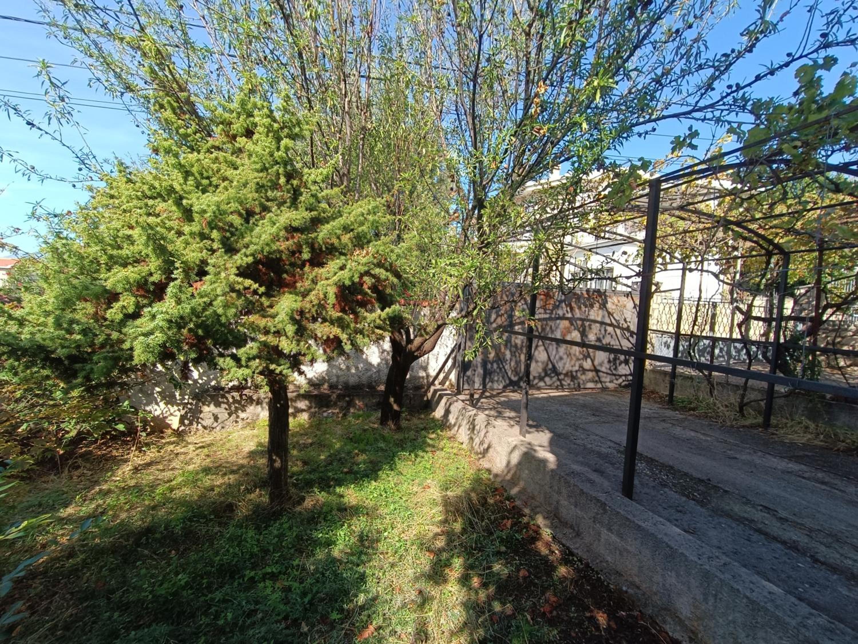 Villa Luna