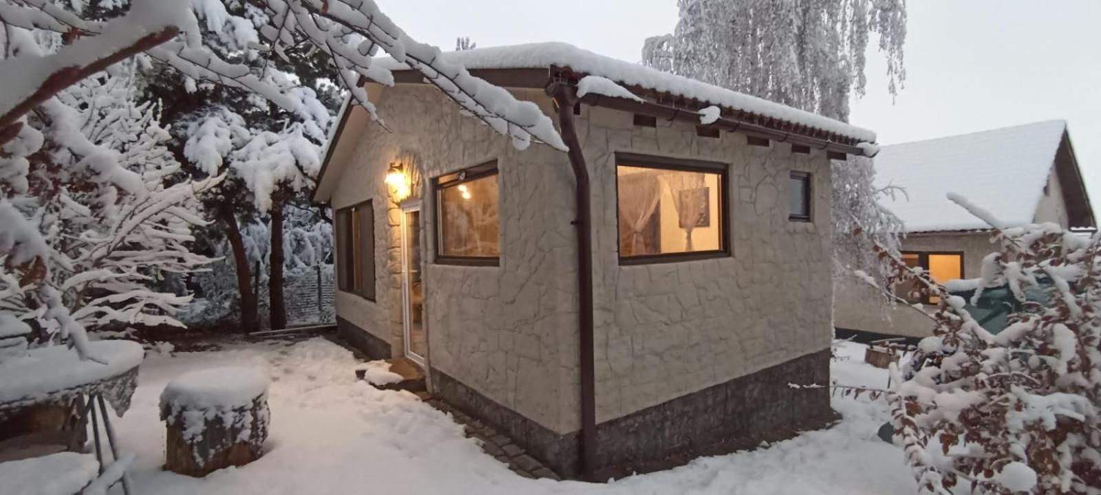 Forest Hide Tiny House view 3