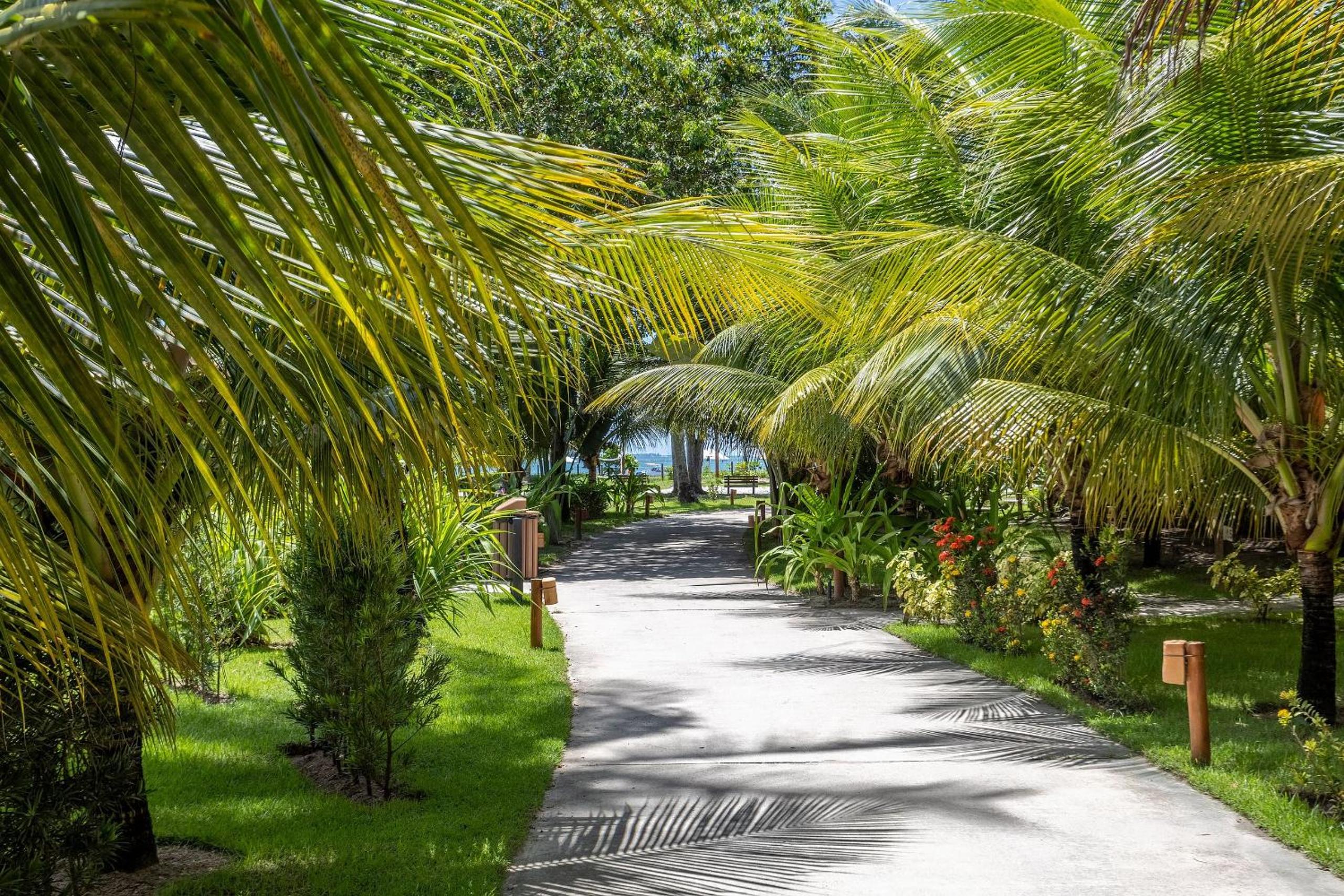 Eco Resort Praia dos Carneiros - Bangalôs
