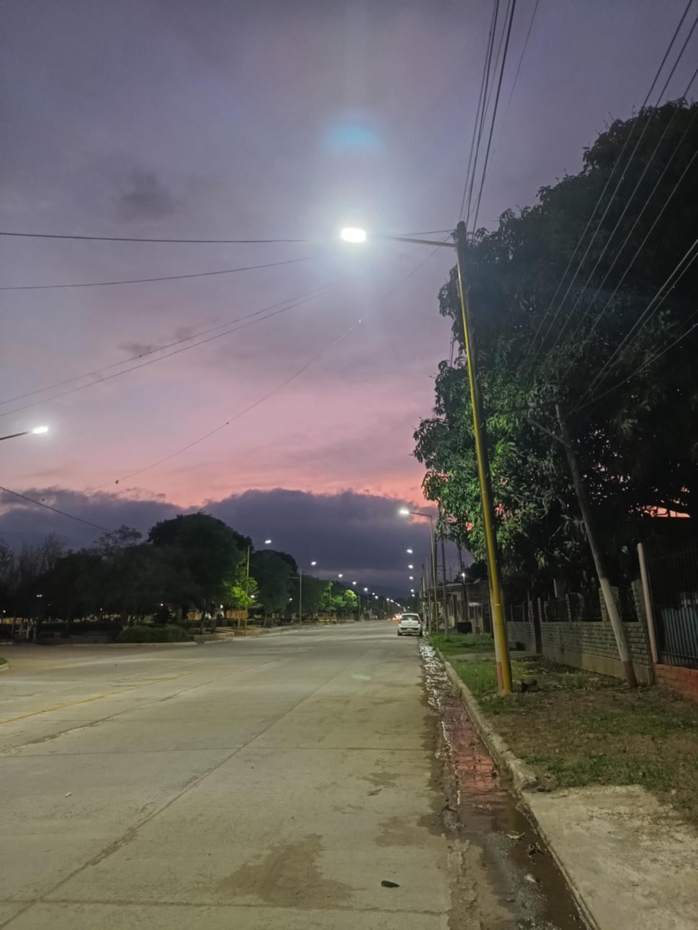 Entre Mangos y Tucanes