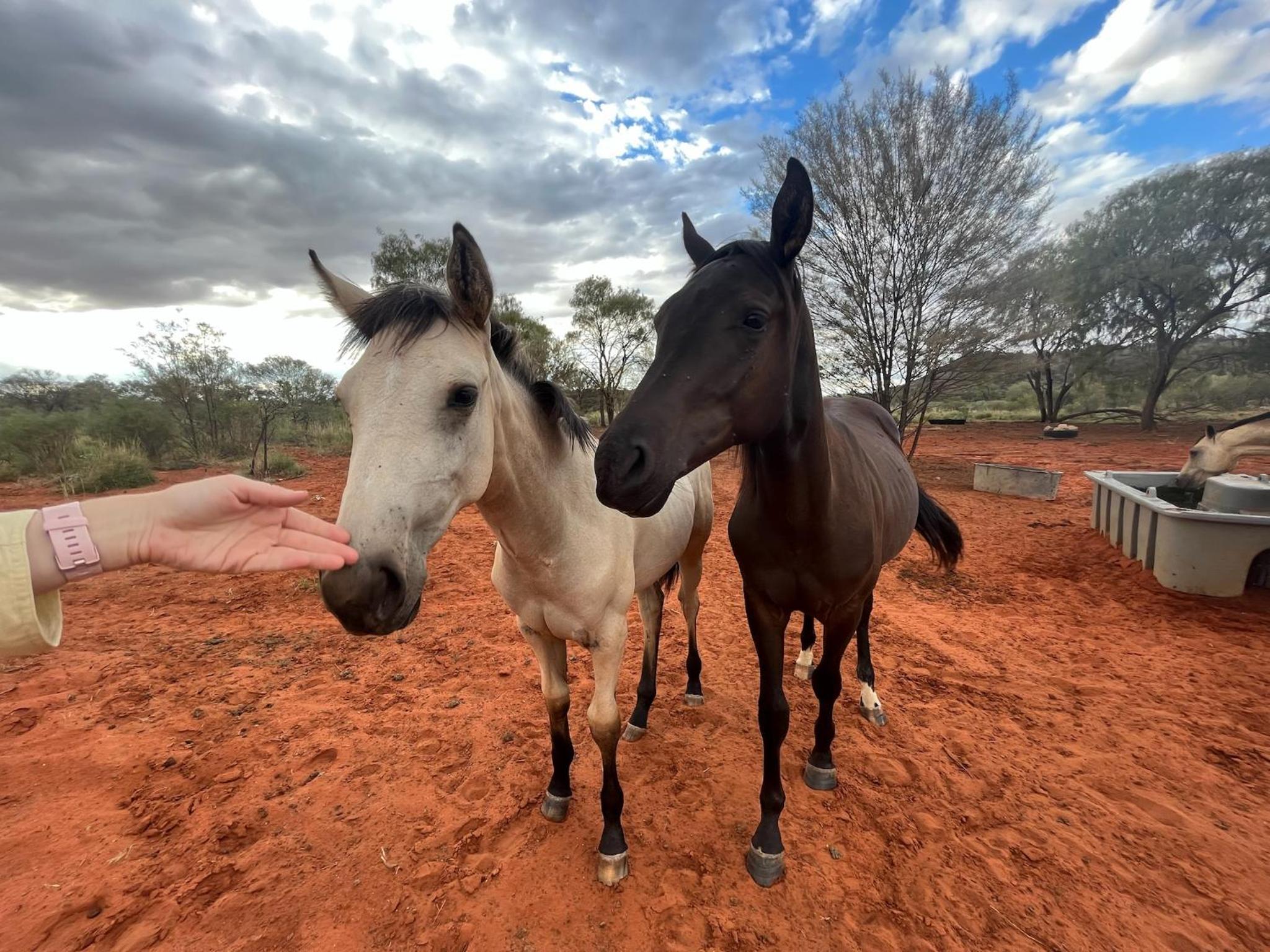 Ooraminna Homestead