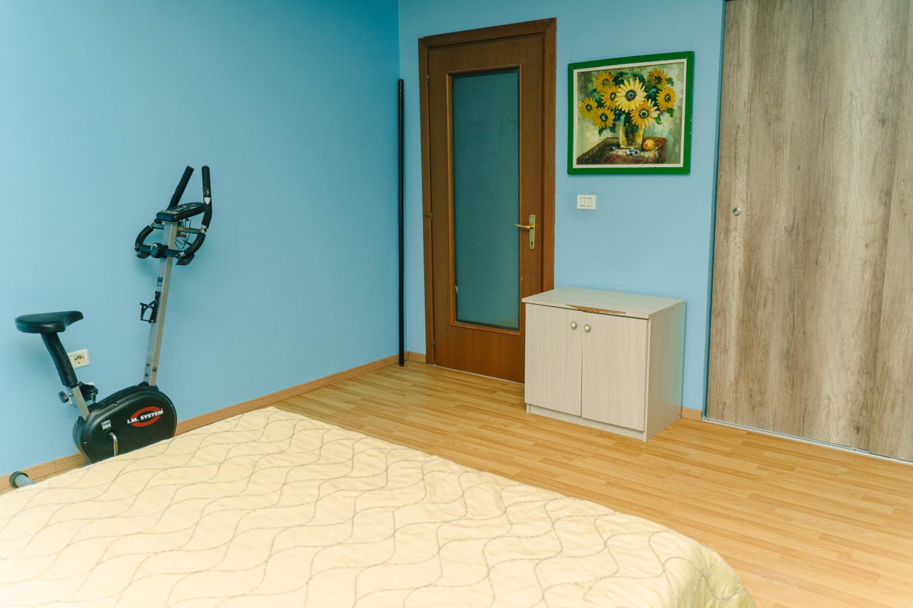 Comfortable Flat in New Bazaar