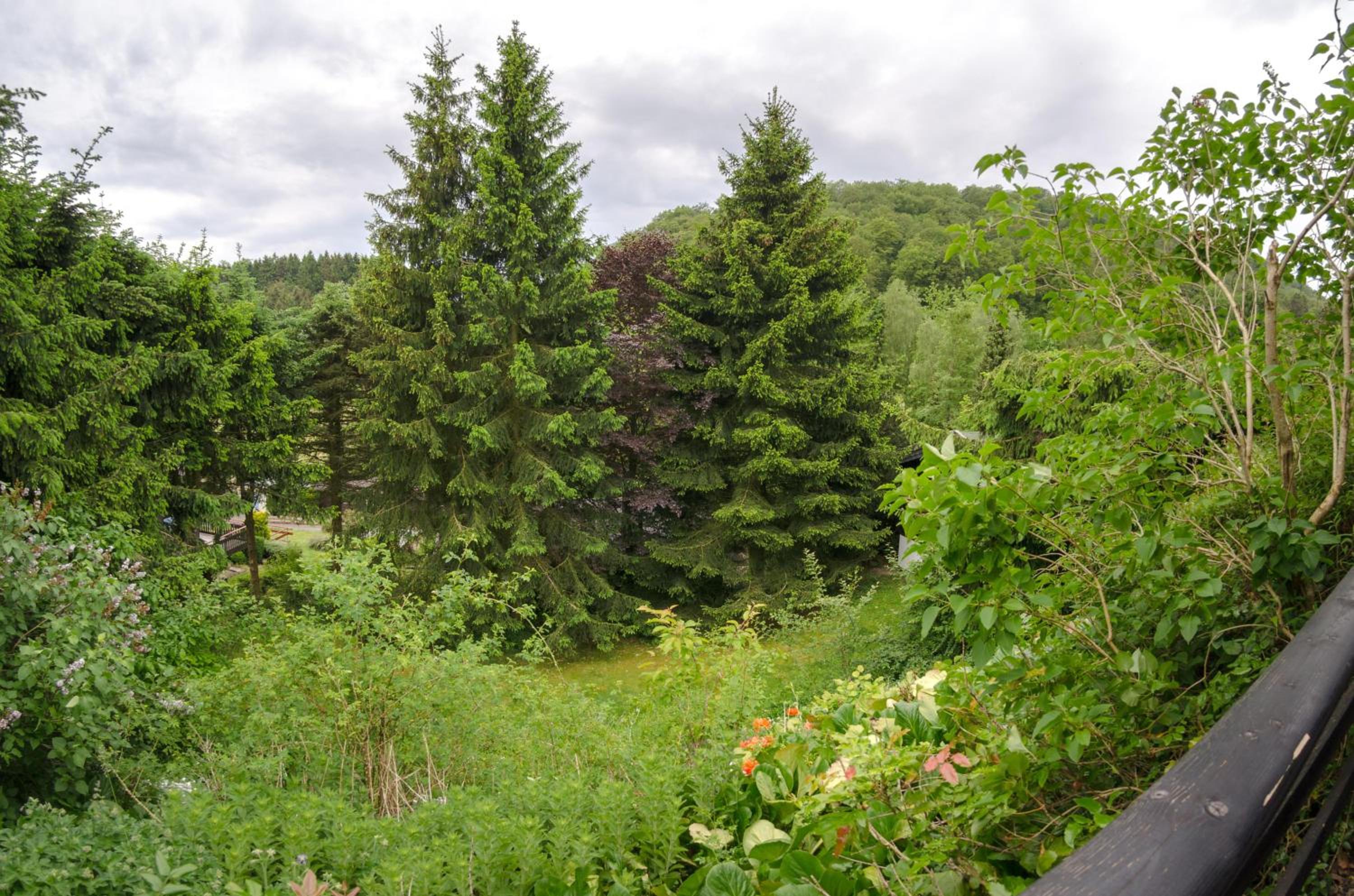 Schwedenhaus Uplandalm Willingen