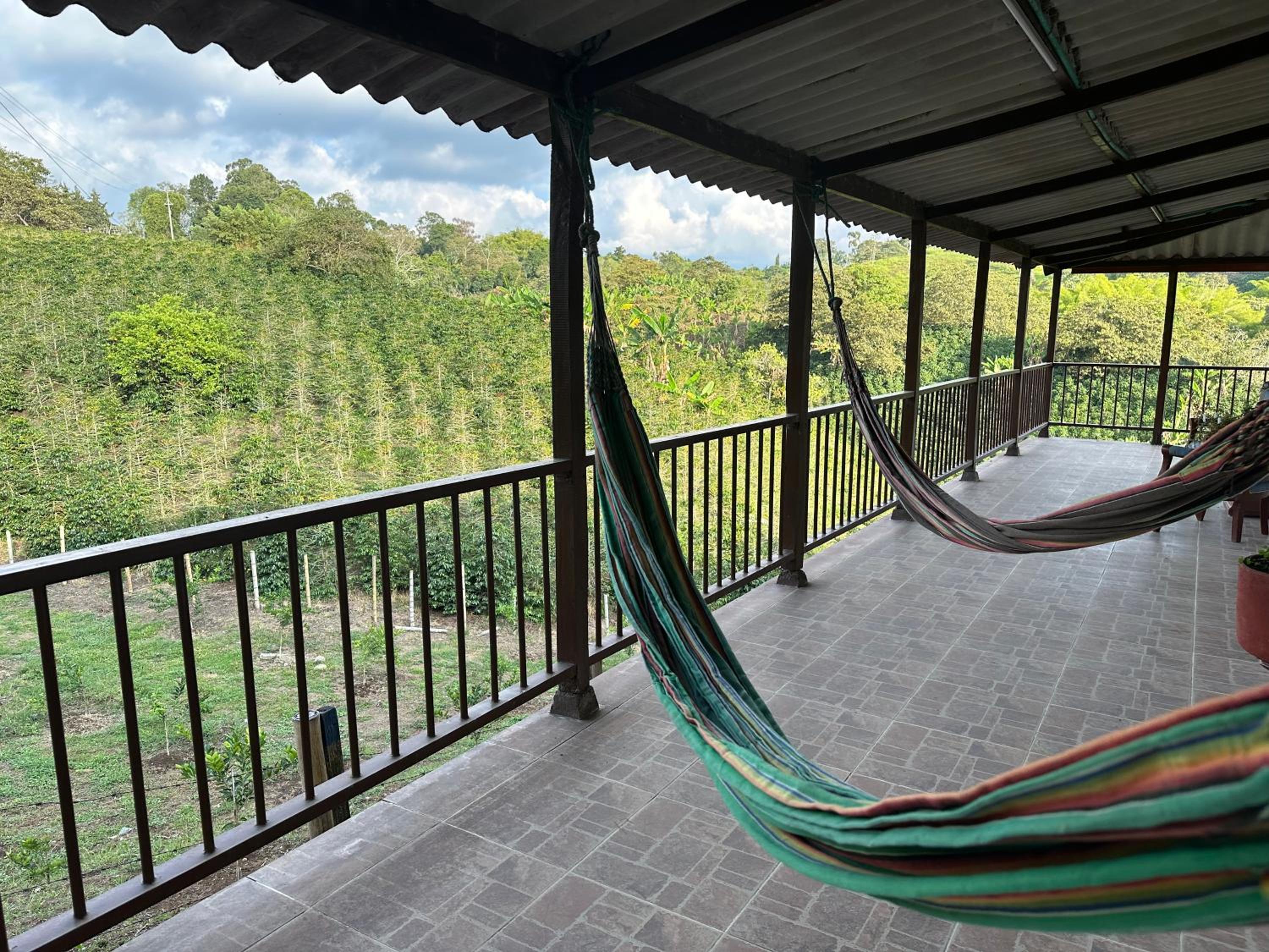 Finca Jamaica