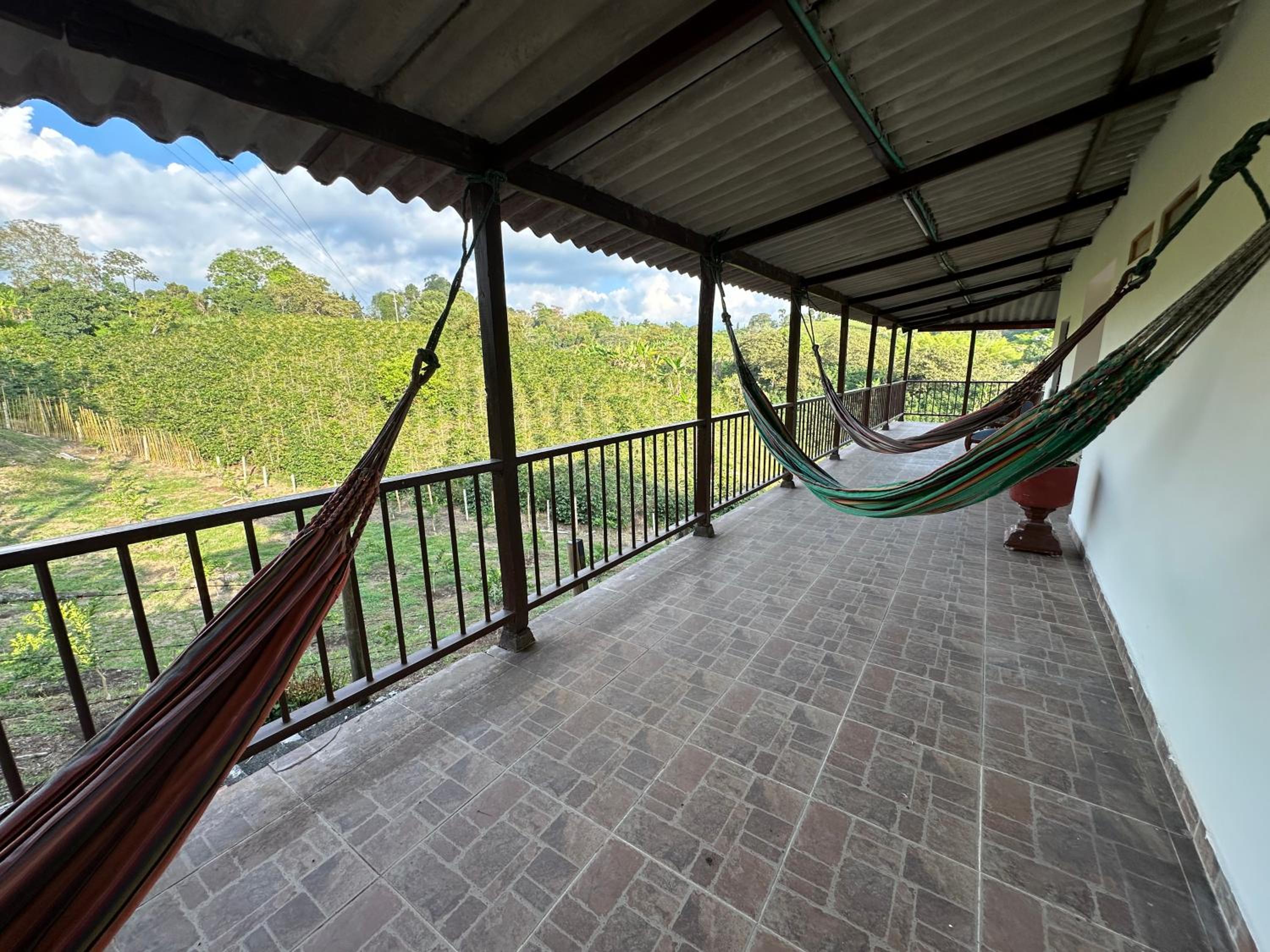 Finca Jamaica