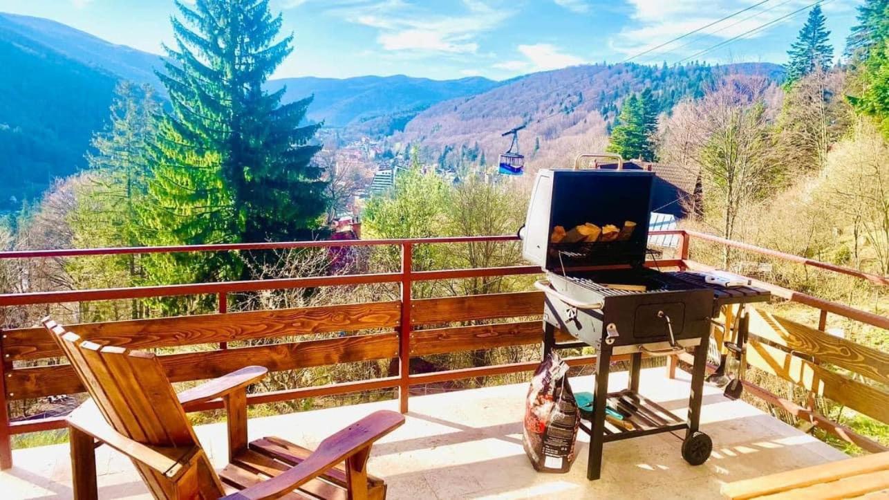 Stone House Sinaia view 4