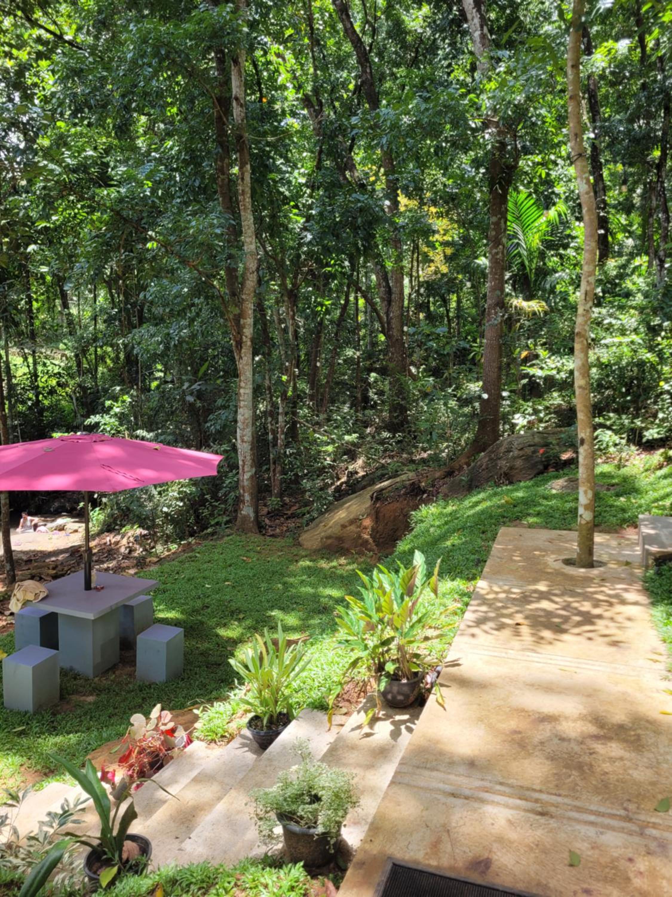 Trickling Stream Campsite