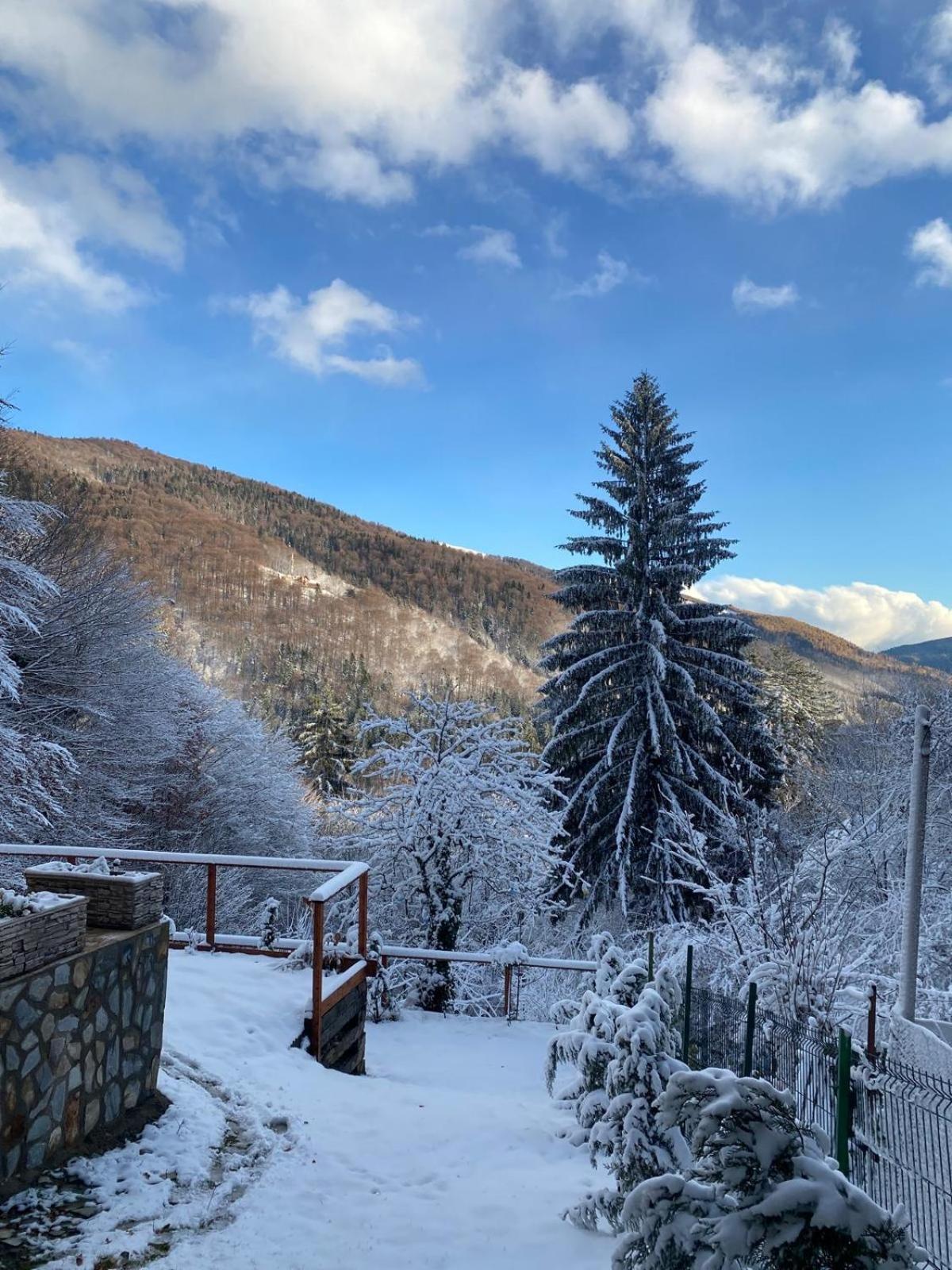 Stone House Sinaia view 3