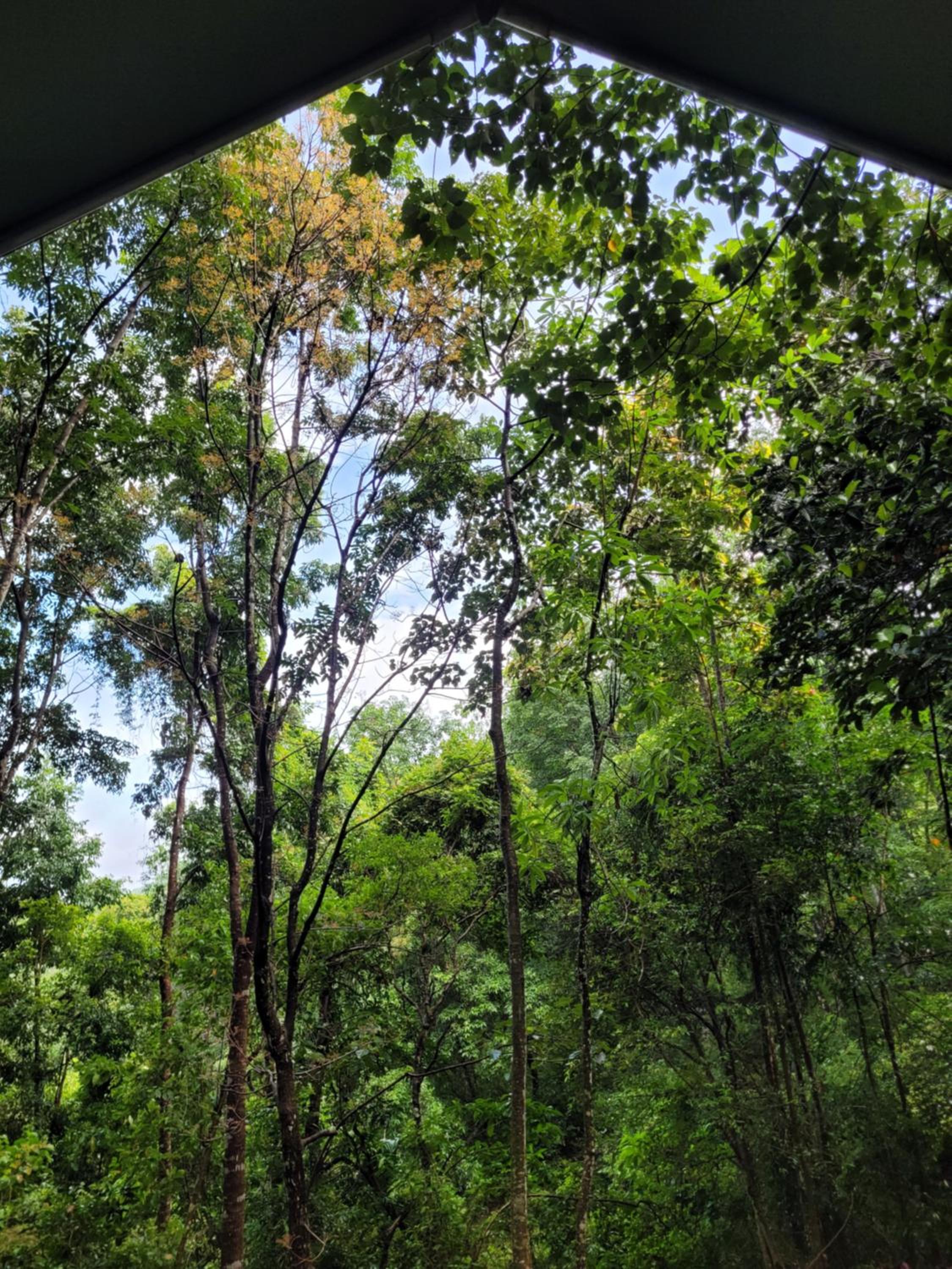 Trickling Stream Campsite