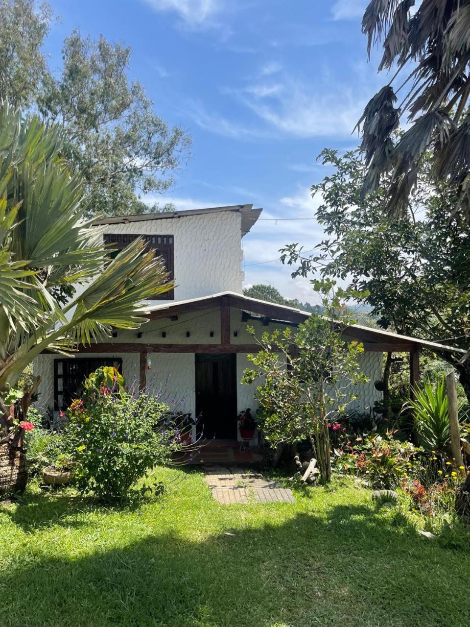 Encanto Verde