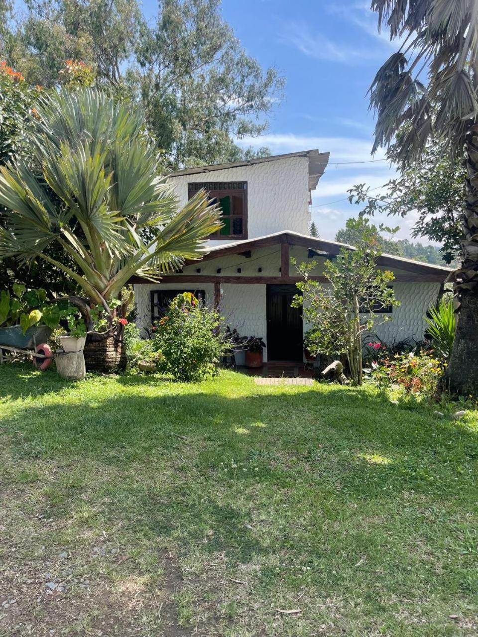 Encanto Verde