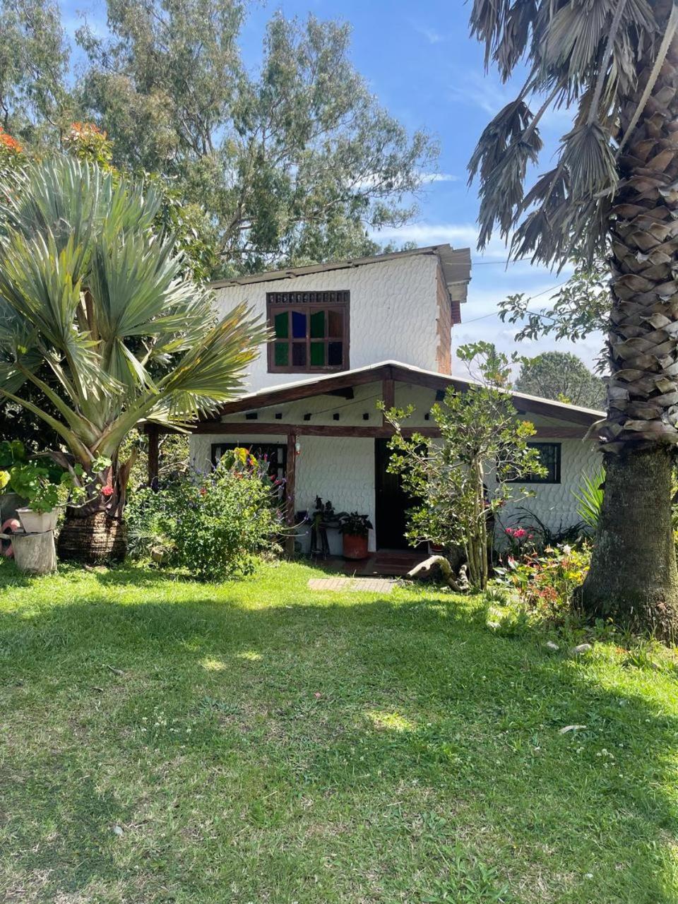 Encanto Verde