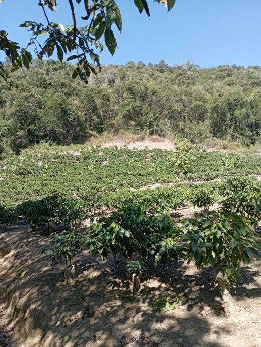 Lar Paraiso - Casa de Campo 3