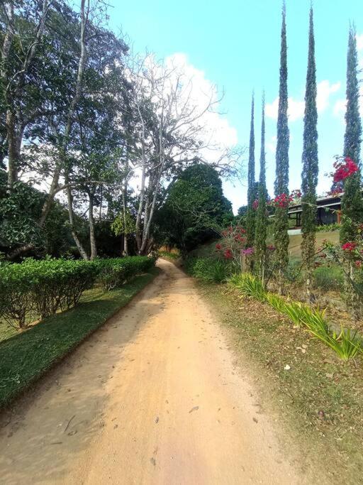Lar Paraiso - Casa de Campo 3