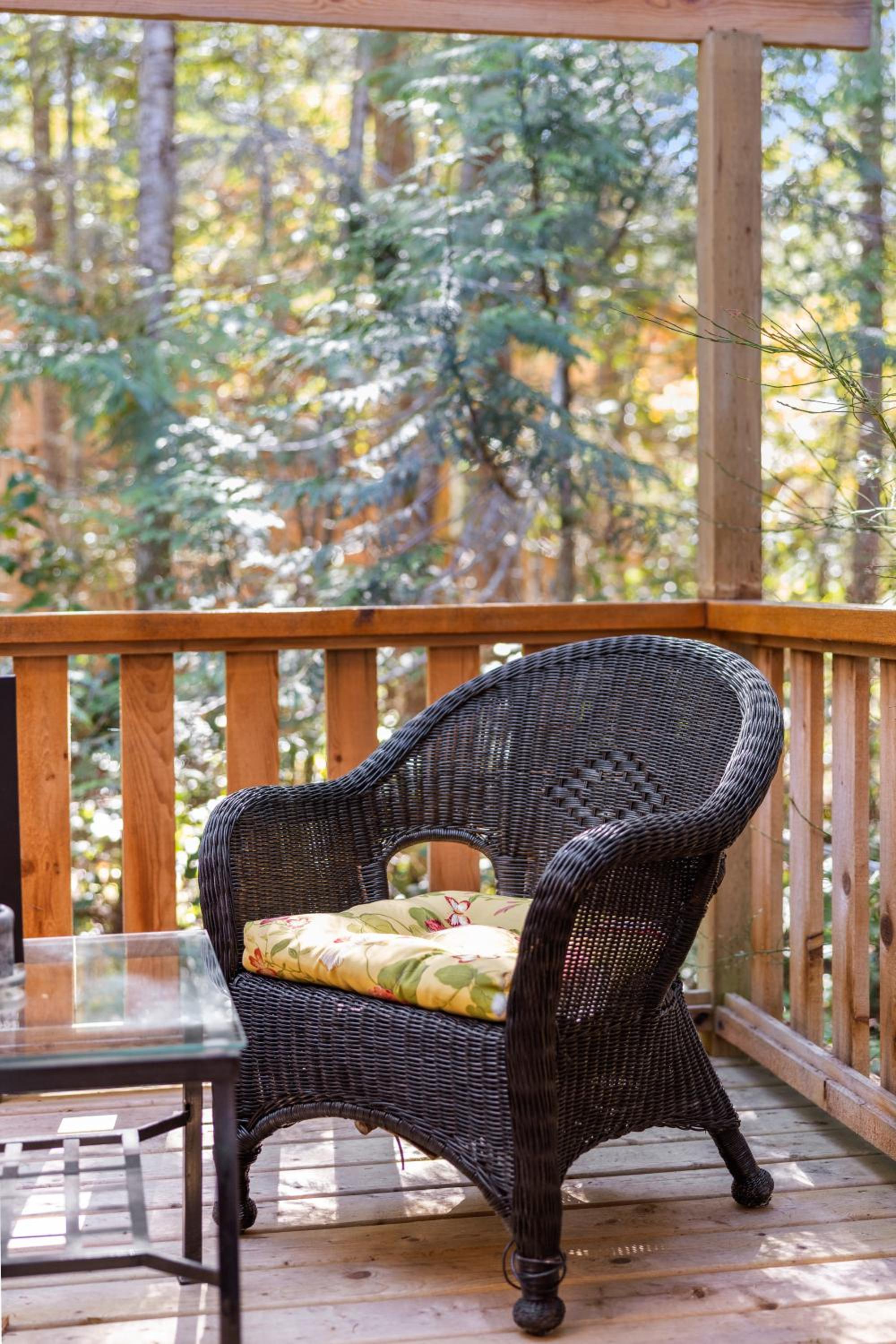 West Coast Wilderness Lodge