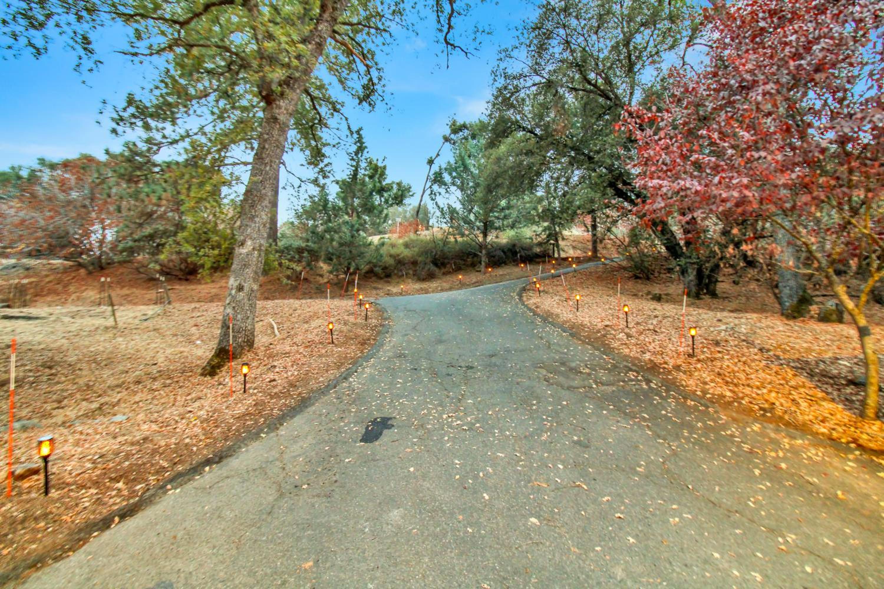Yosemite Forest Villa