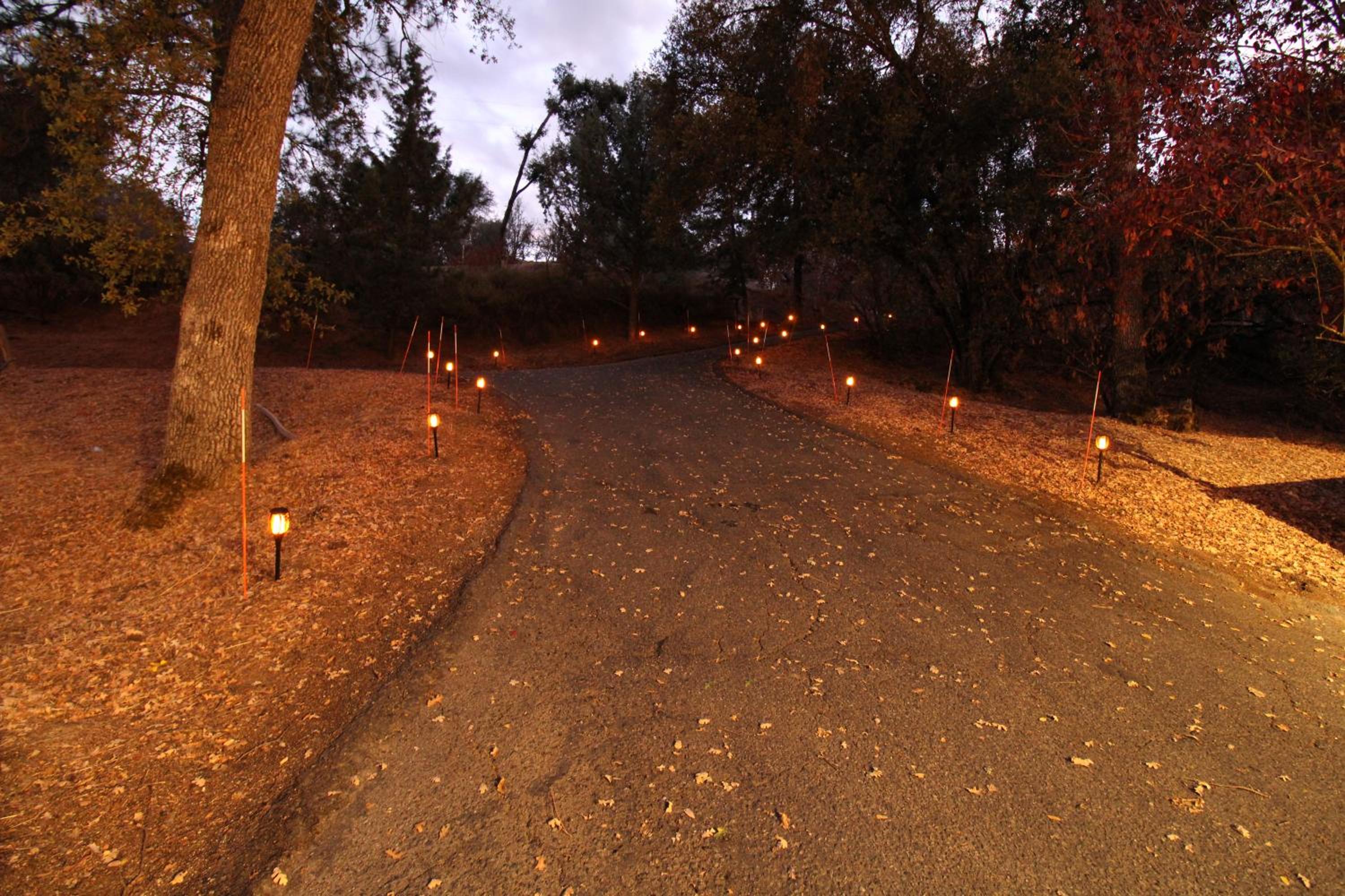 Yosemite Forest Villa