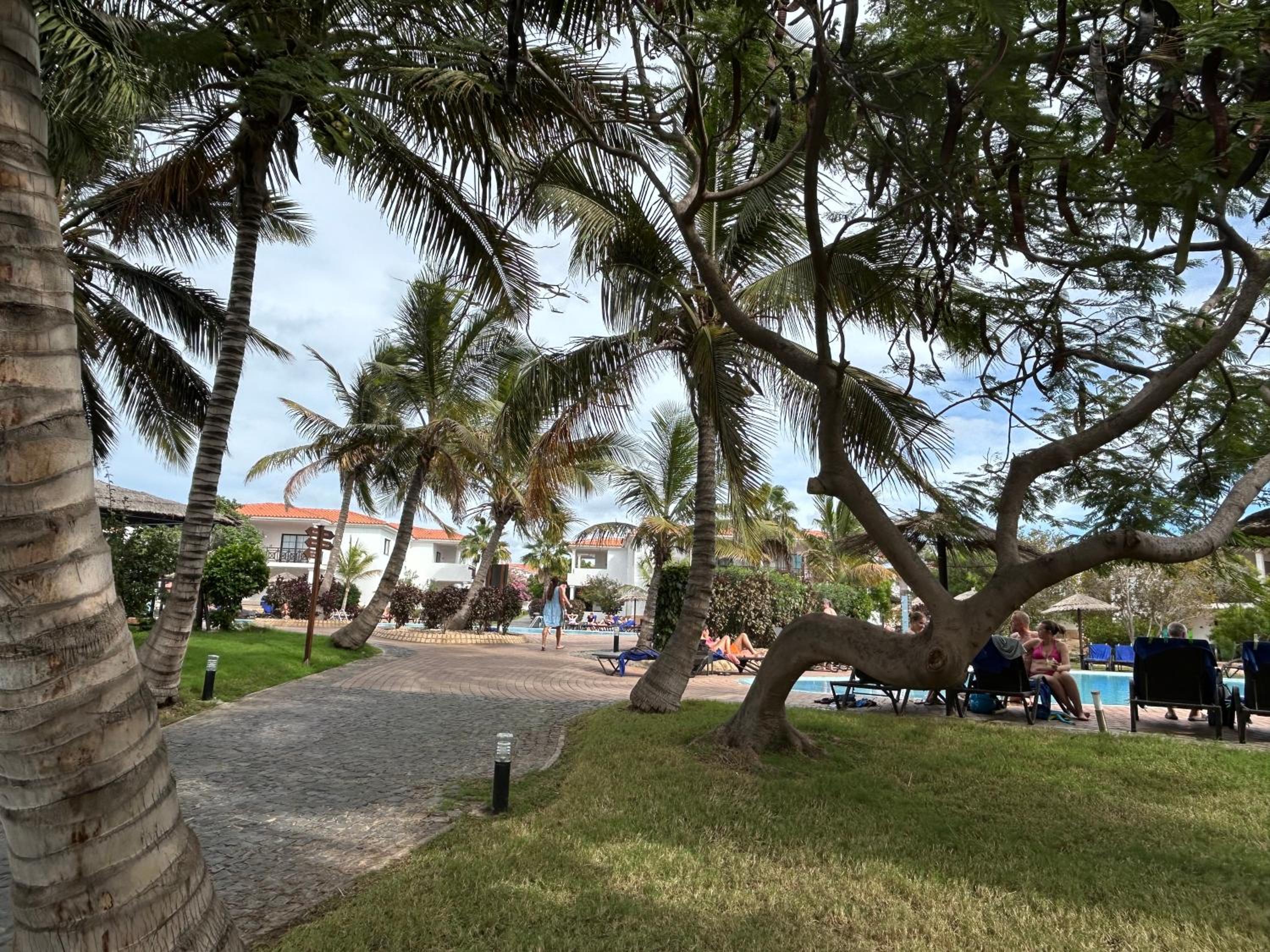Tortuga Apartment