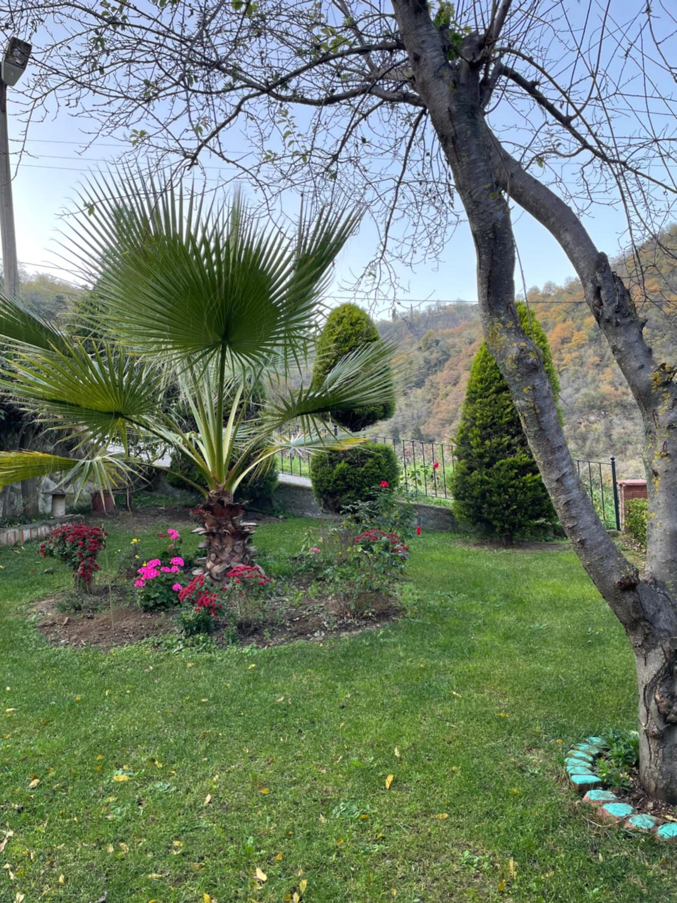 Green Garden Villa view 4
