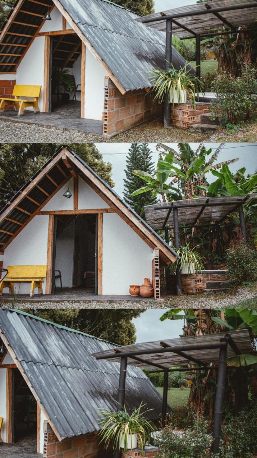Encanto Verde