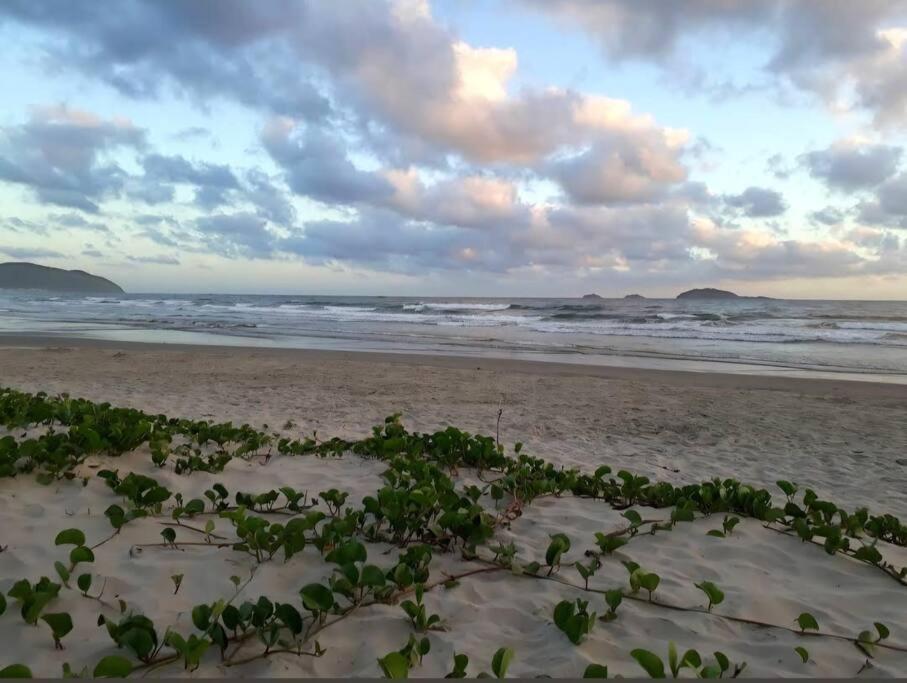 Apartamento de Praia - São Francisco do Sul