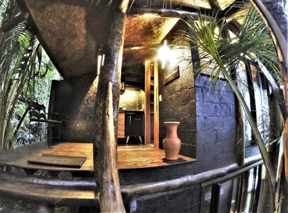 Bamboo - Jungle House View