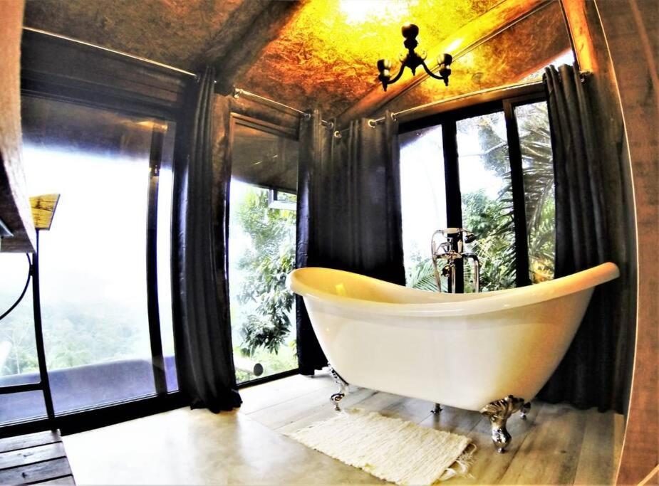 Bamboo - Jungle House View