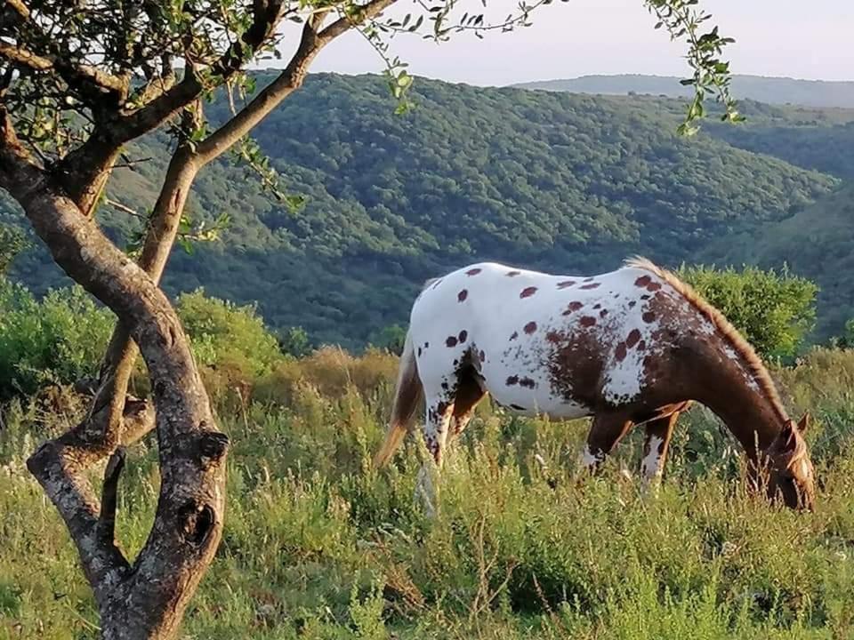 Finca Paraíso Escondido