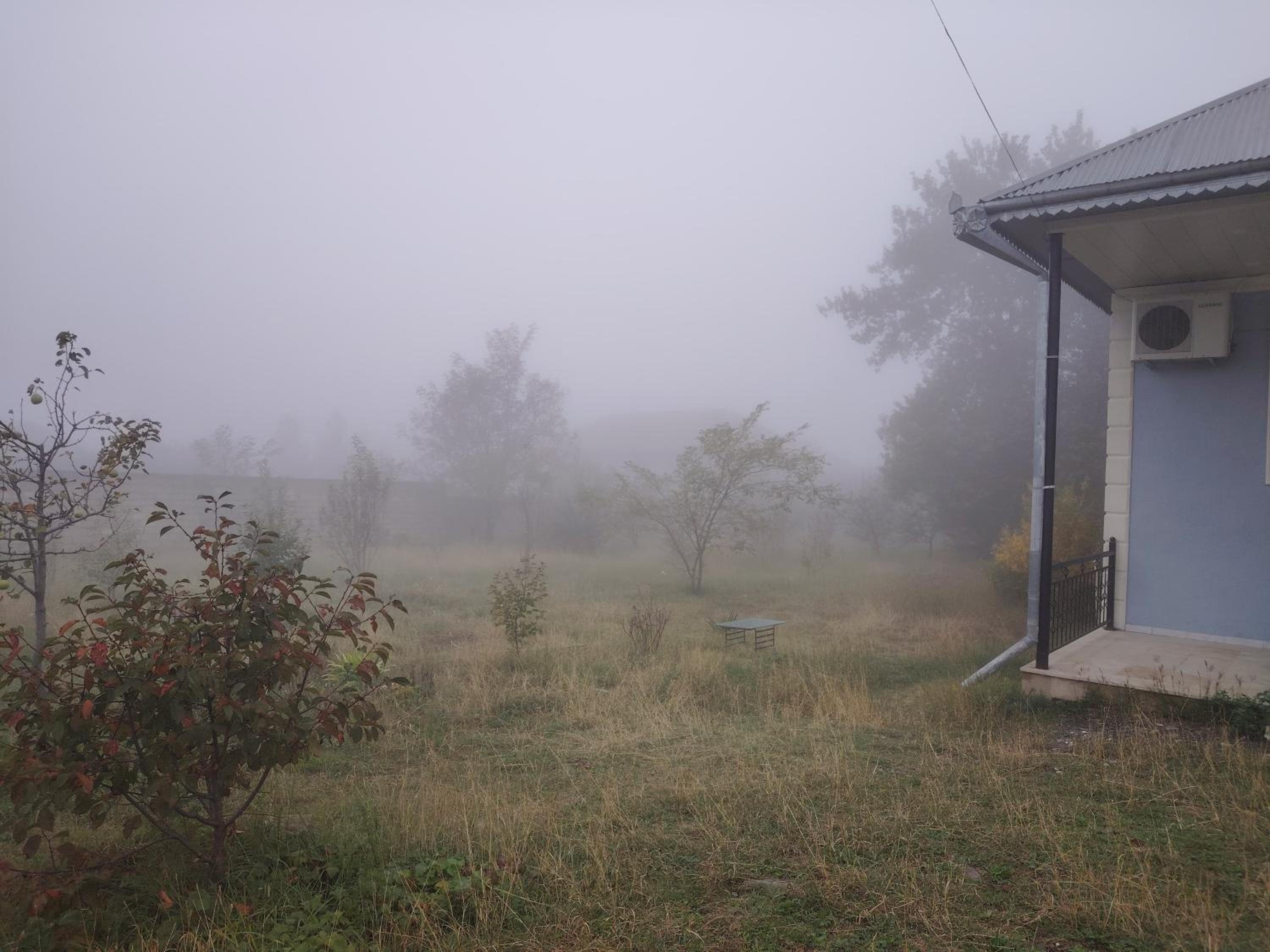 Foggy House