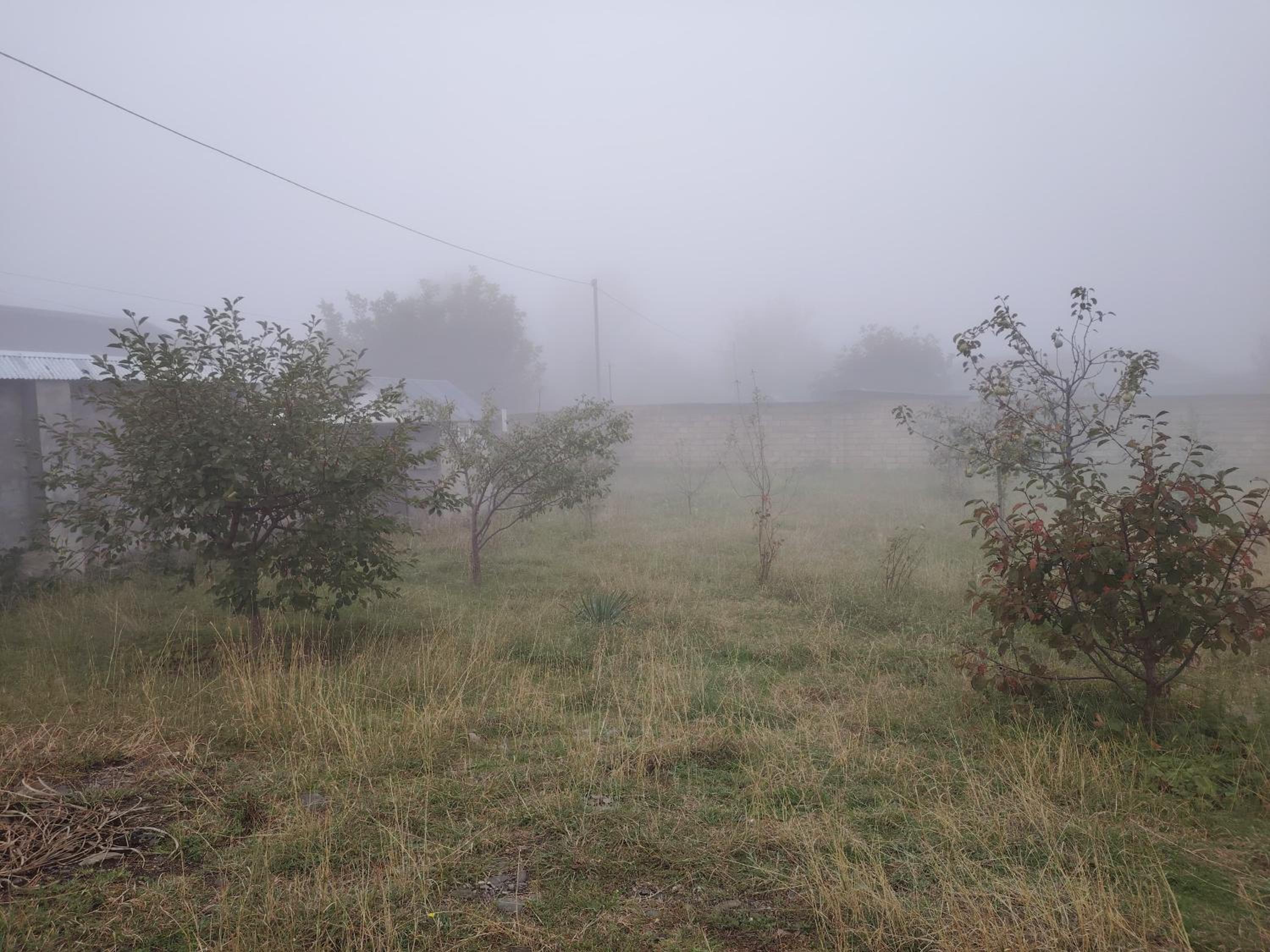 Foggy House