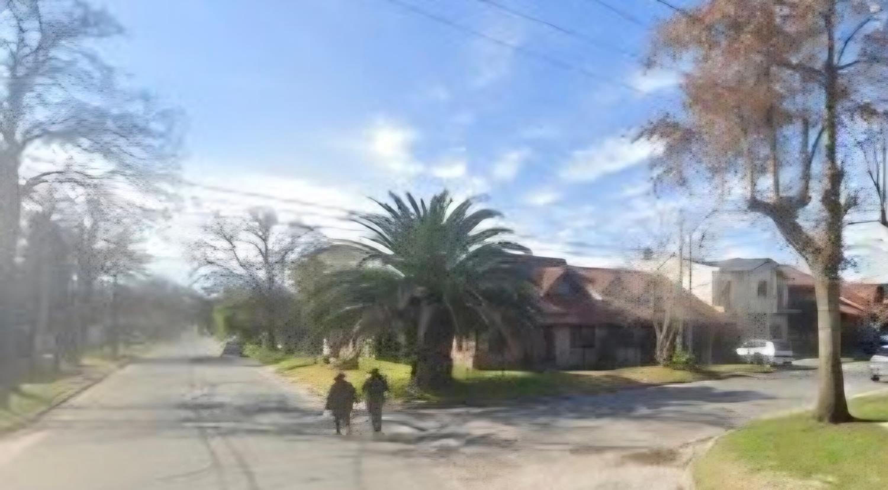 Chalet Arenal