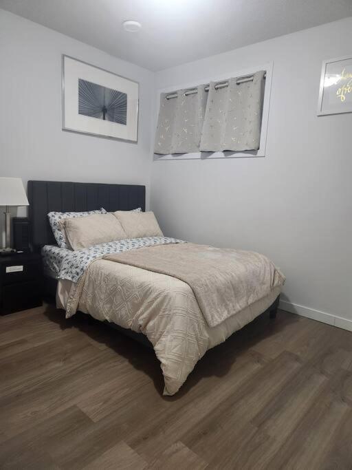 Modern 2 Bedroom Basement Suite at West Edmonton