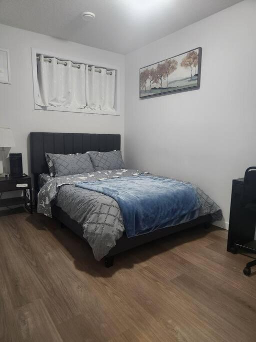 Modern 2 Bedroom Basement Suite at West Edmonton