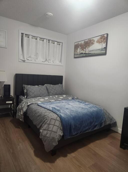 Modern 2 Bedroom Basement Suite at West Edmonton