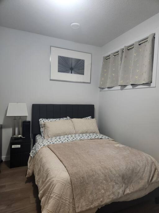 Modern 2 Bedroom Basement Suite at West Edmonton
