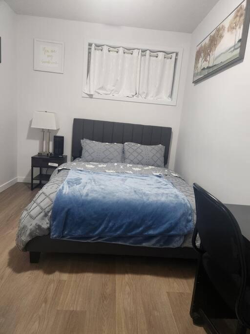 Modern 2 Bedroom Basement Suite at West Edmonton